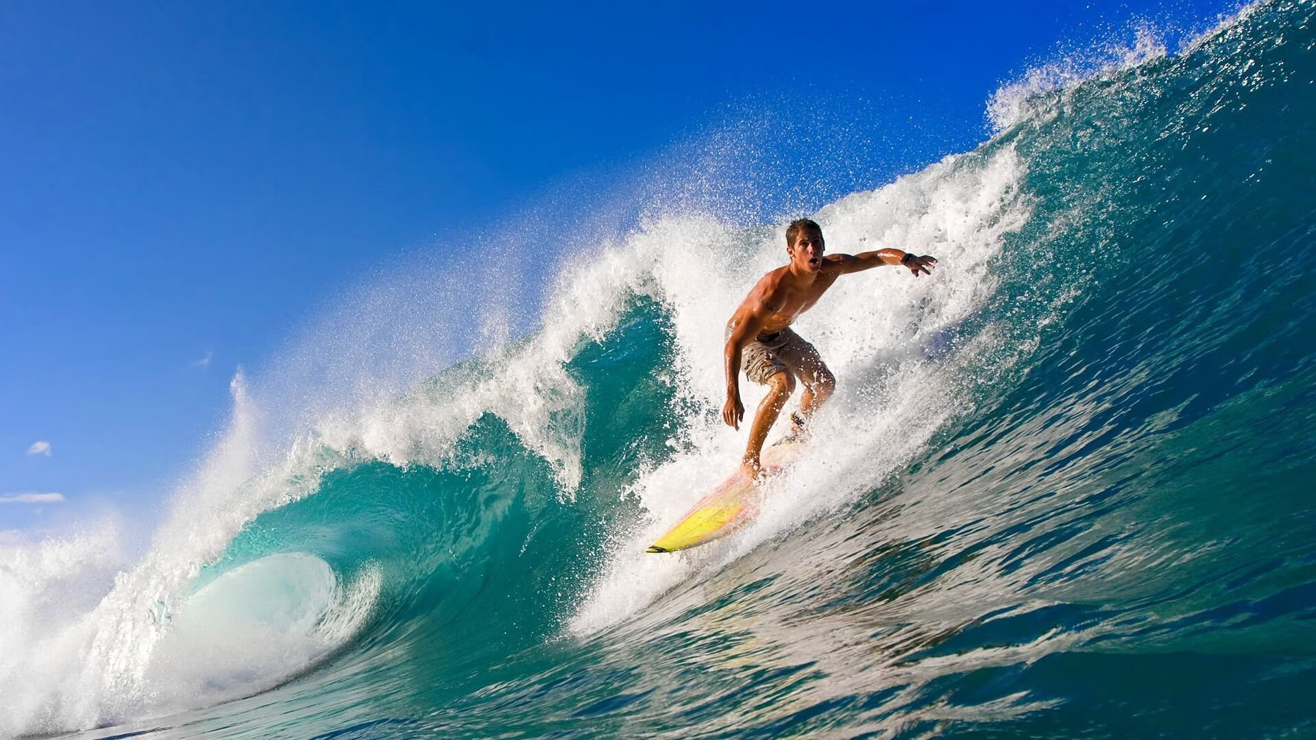 开云·体育全站登录地址-德约称目标仍是大满贯纪录，德约19个大满贯明细